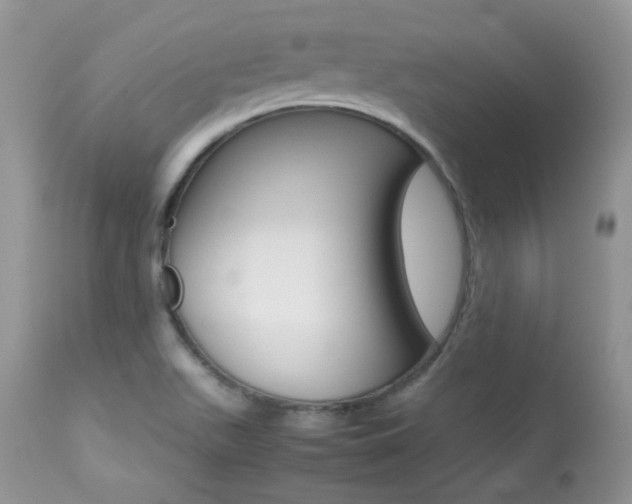 X0000113641511200909181317