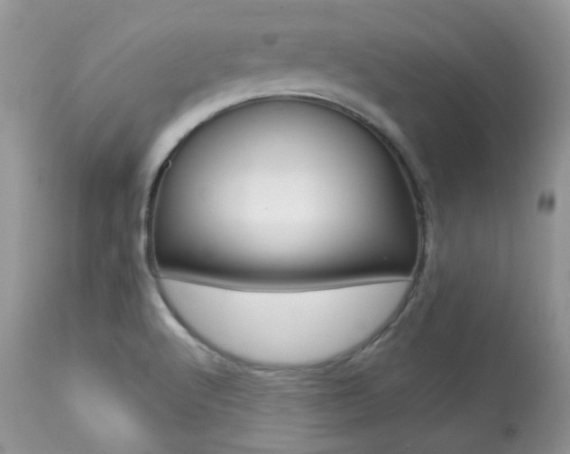 X0000113641512200909181317