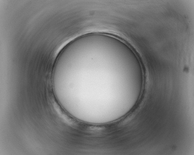 X0000113641513200909181317