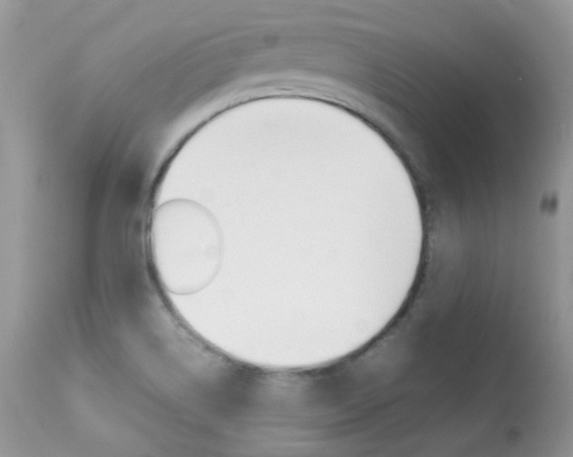 X0000113641514200909181317