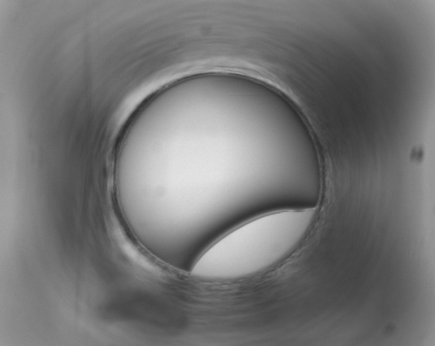 X0000113641515200909181317
