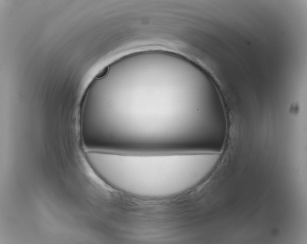 X0000113641516200909181317