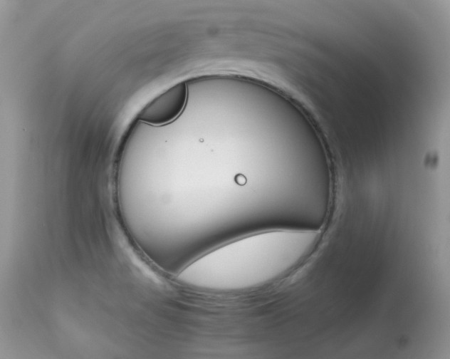X0000113641517200909181317
