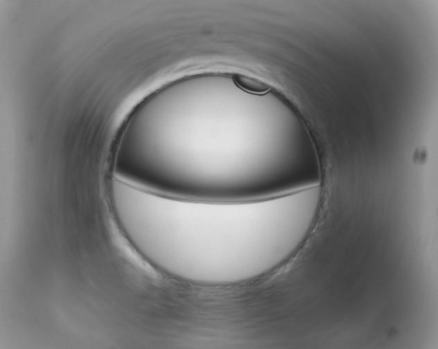 X0000113641518200909181317