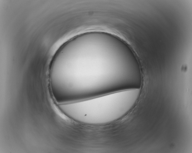 X0000113641519200909181317