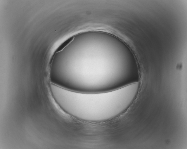 X0000113641520200909181317