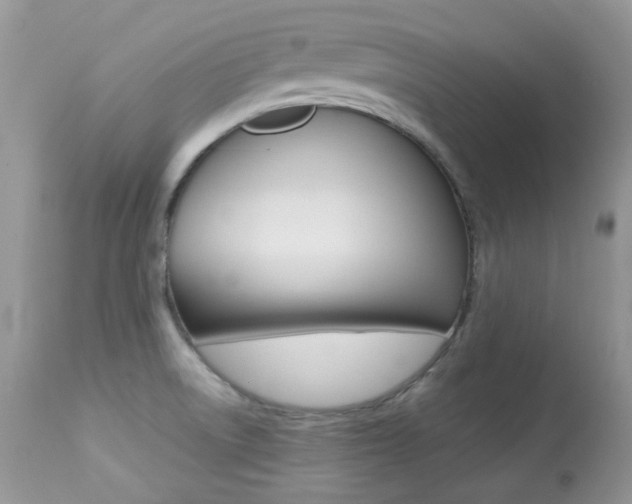 X0000113641522200909181317