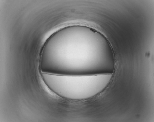 X0000113641523200909181317
