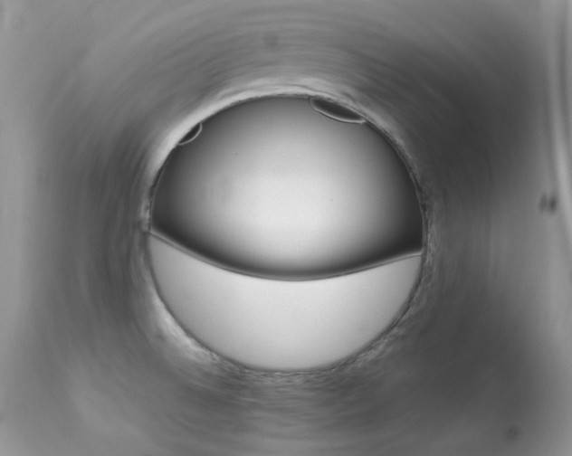 X0000113641524200909181317