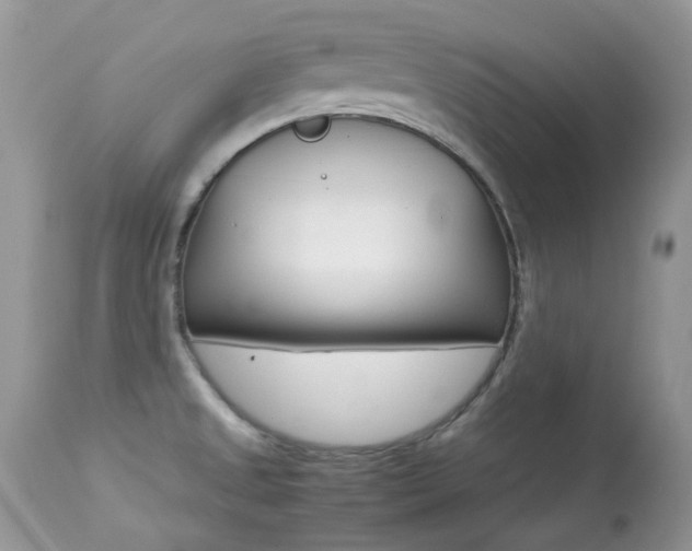 X0000113641525200909181317