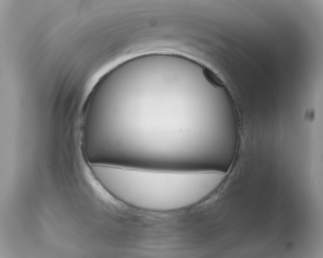 X0000113641526200909181317