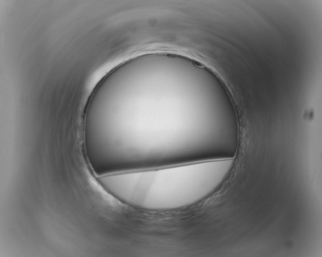 X0000113641527200909181317