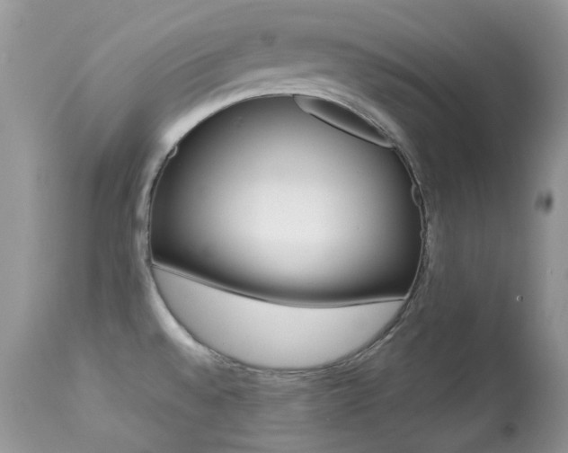 X0000113641528200909181317