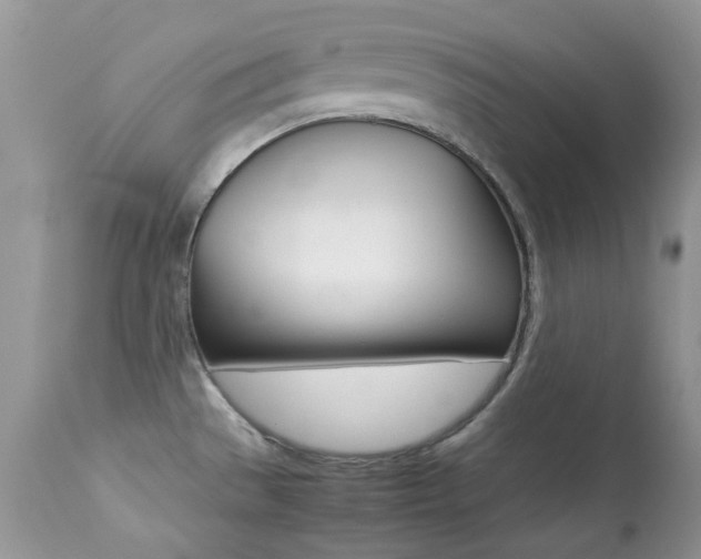 X0000113641529200909181317