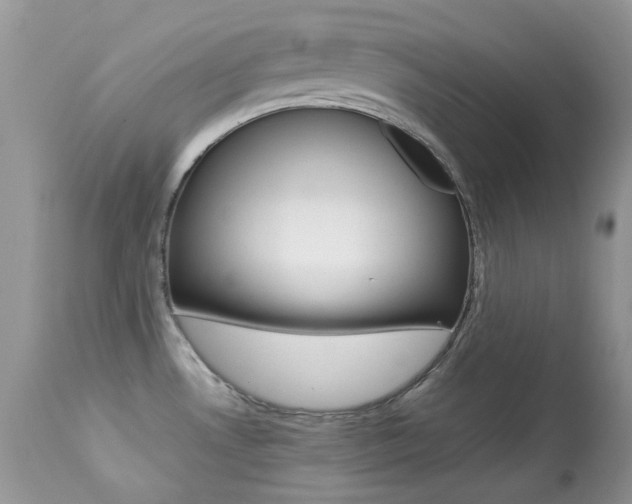 X0000113641530200909181317