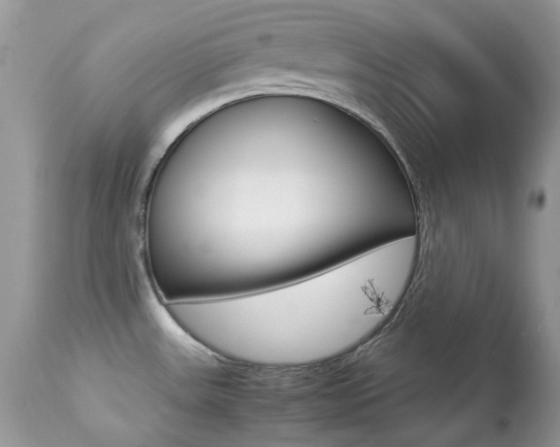 X0000113641531200909181317