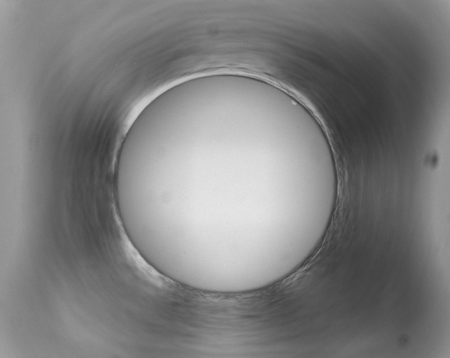 X0000113641532200909181317