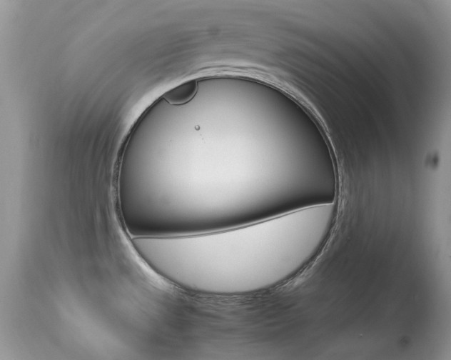 X0000113641533200909181317