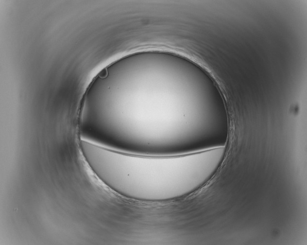 X0000113641534200909181317