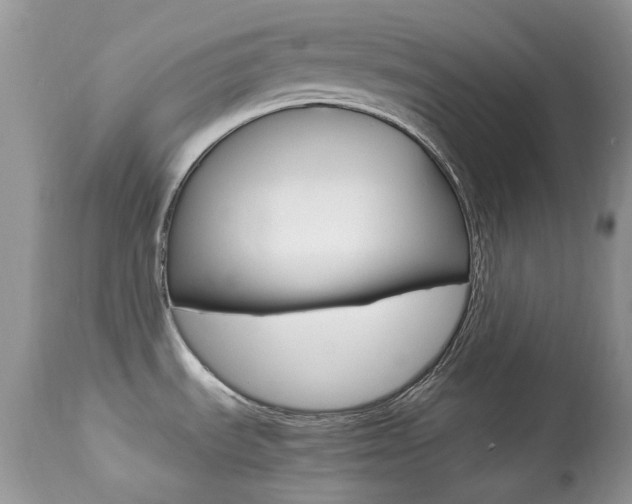 X0000113641535200909181317