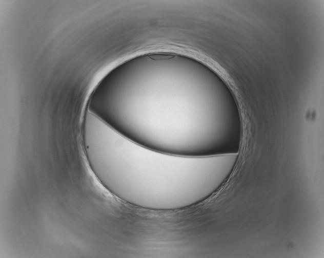 X0000113641536200909181317