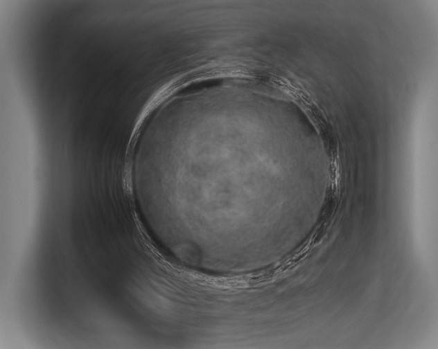 X0000113640004200909181506