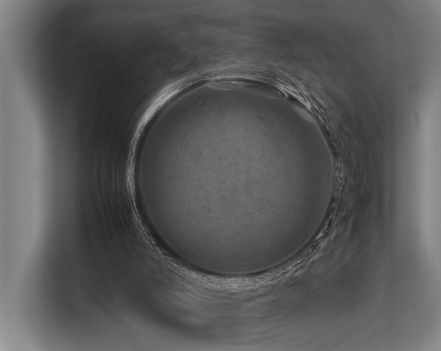 X0000113640006200909181506