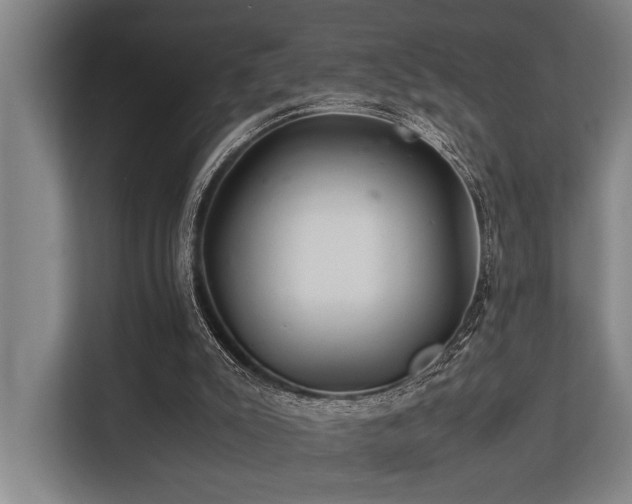 X0000113640007200909181506