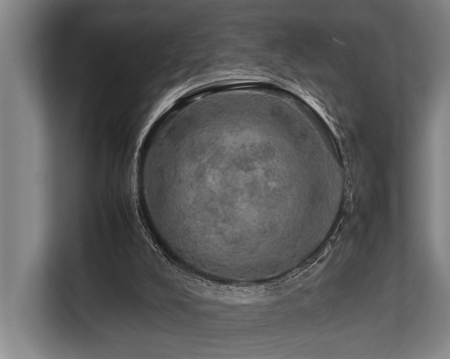 X0000113640008200909181506