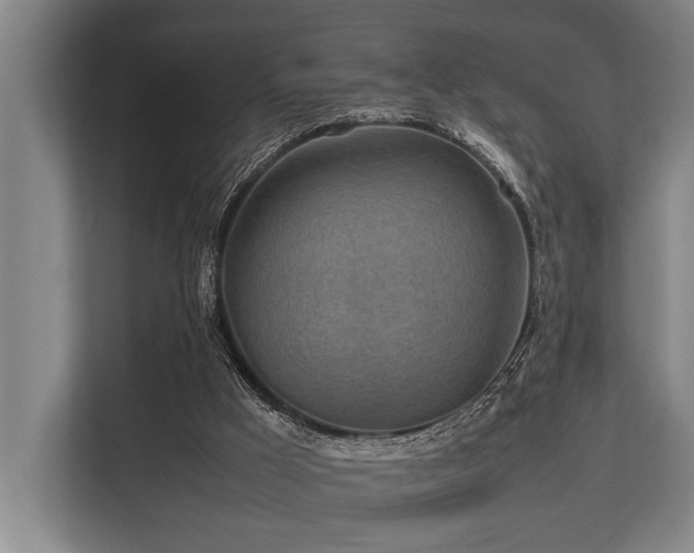 X0000113640009200909181506