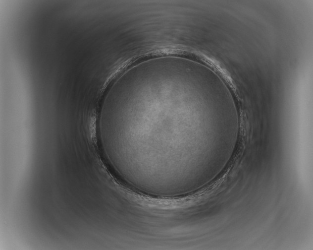 X0000113640010200909181506