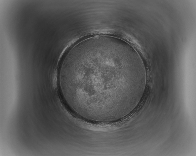 X0000113640012200909181506