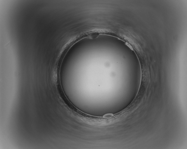 X0000113640015200909181506