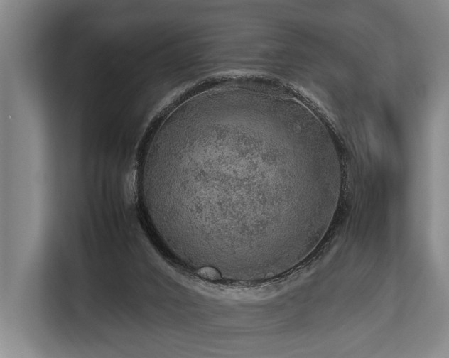 X0000113640016200909181506