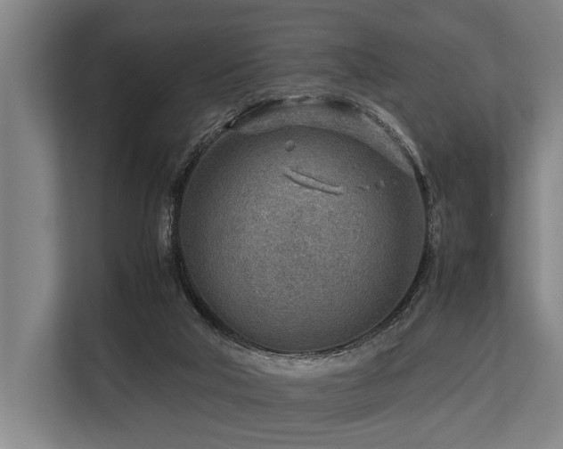 X0000113640018200909181506