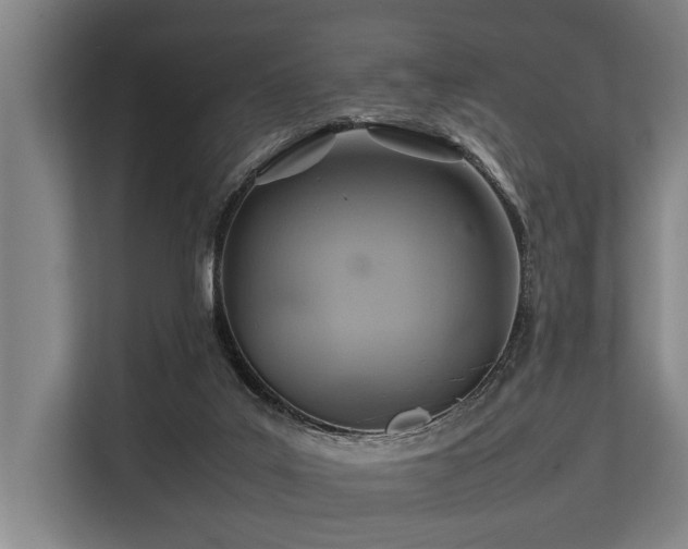 X0000113640019200909181506