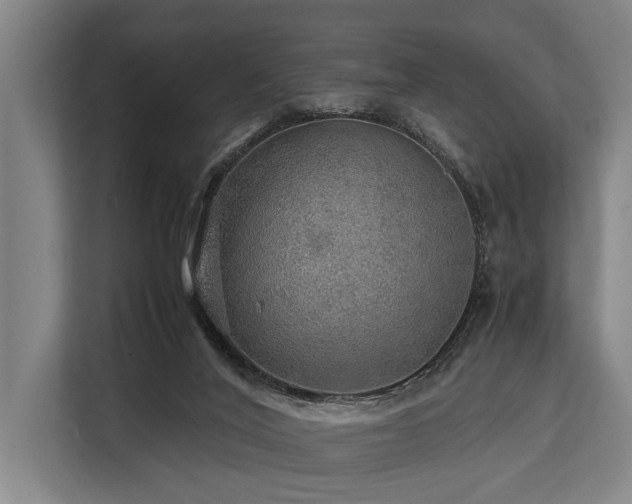 X0000113640020200909181505