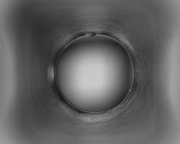 X0000113640021200909181505