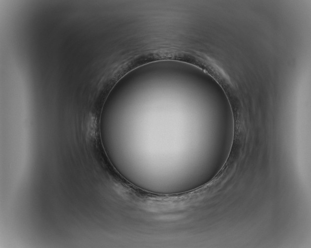 X0000113640025200909181505