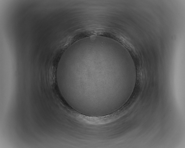 X0000113640030200909181505