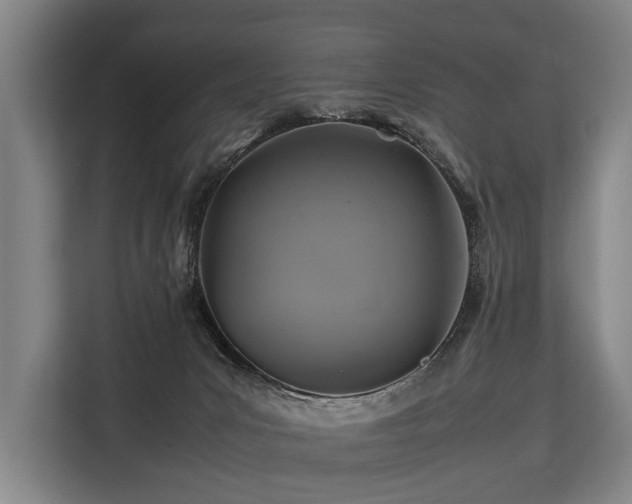 X0000113640031200909181505