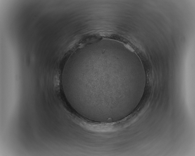 X0000113640032200909181505