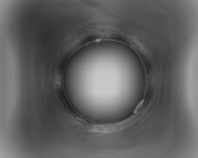 X0000113640033200909181505