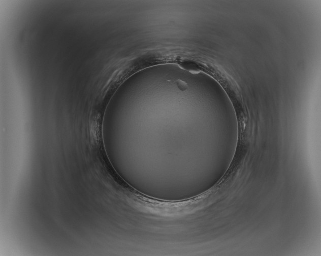 X0000113640035200909181505