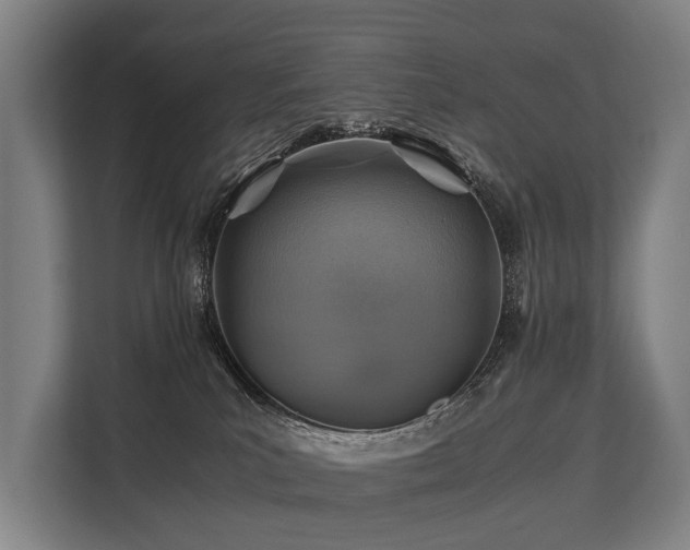 X0000113640039200909181505