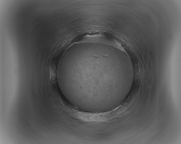 X0000113640040200909181505