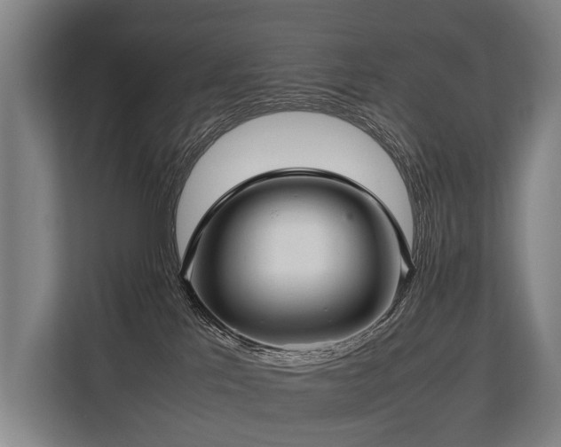 X0000113640041200909181505