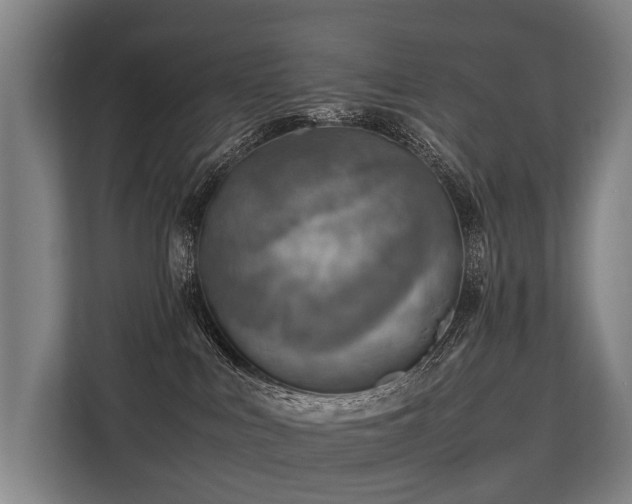 X0000113640043200909181505