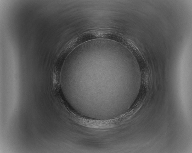 X0000113640044200909181505