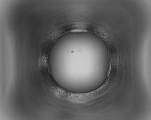 X0000113640045200909181505